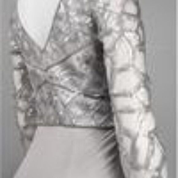 Sue Wong Platinum Silver Sequin Maxi Gown size 2 - Picture 3 of 11
